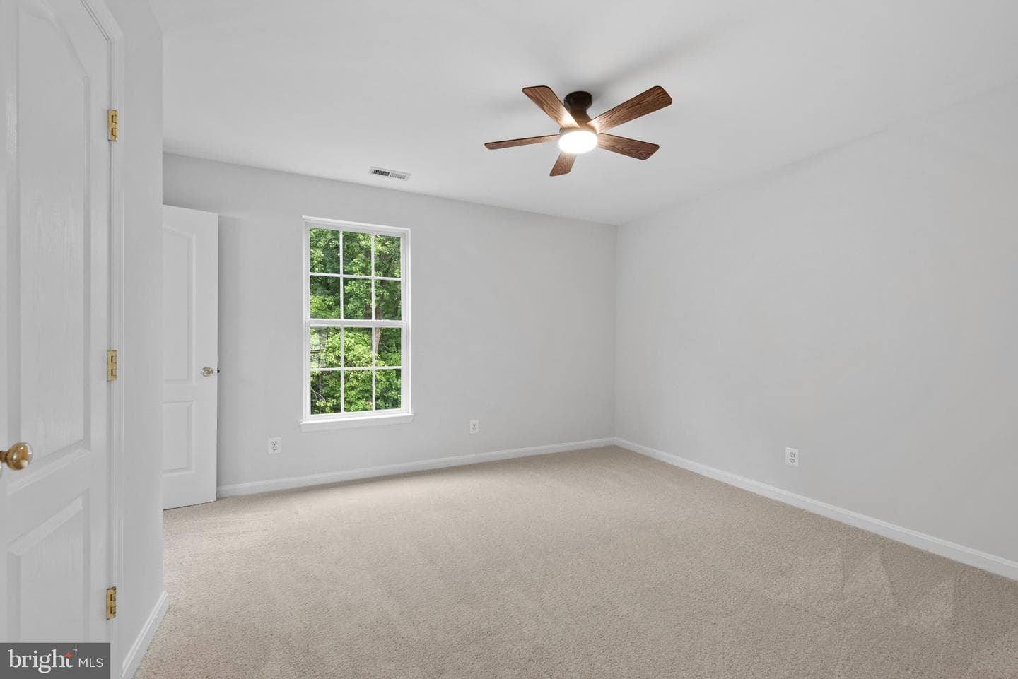 8132 Rose Haven Road photo 26