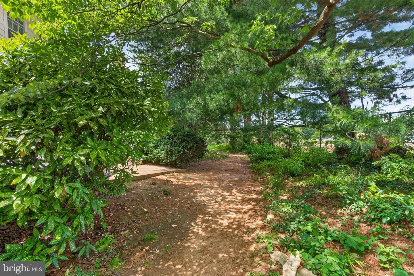 6638 Walnutwood Circle photo 48
