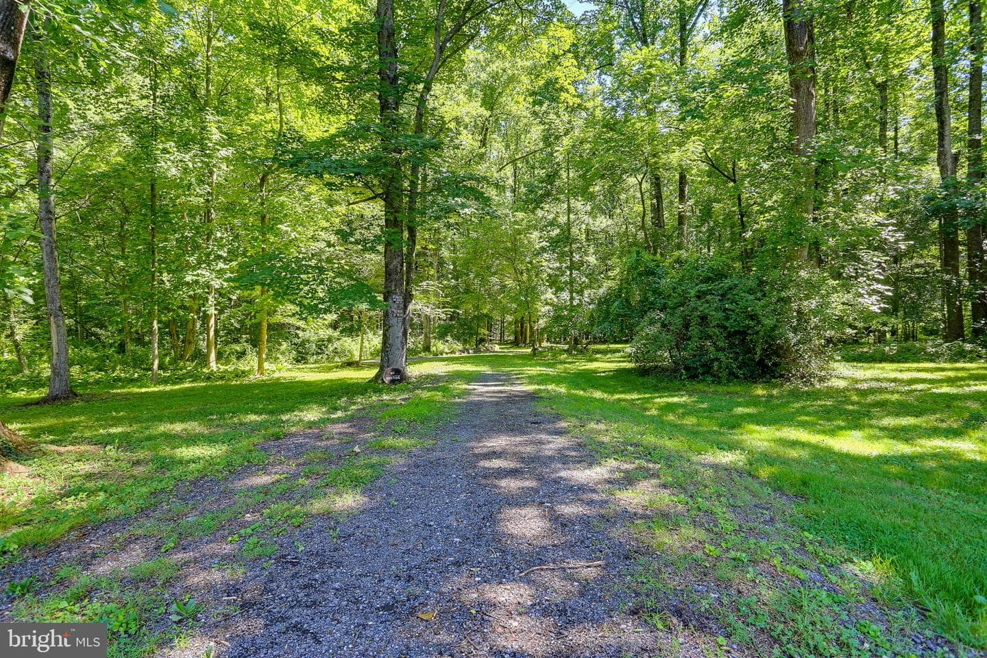 4806 Forge Road photo 49