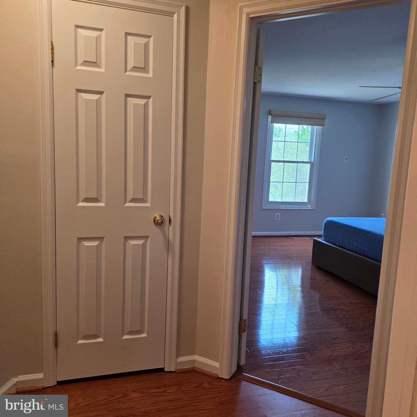 8 Treadway Court photo 23
