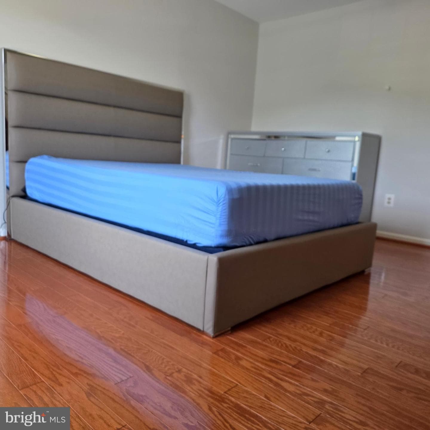 8 Treadway Court photo 24