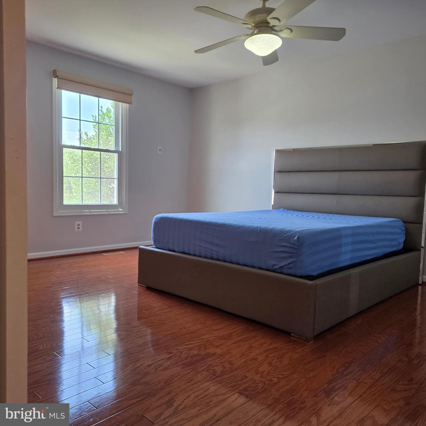 8 Treadway Court photo 25