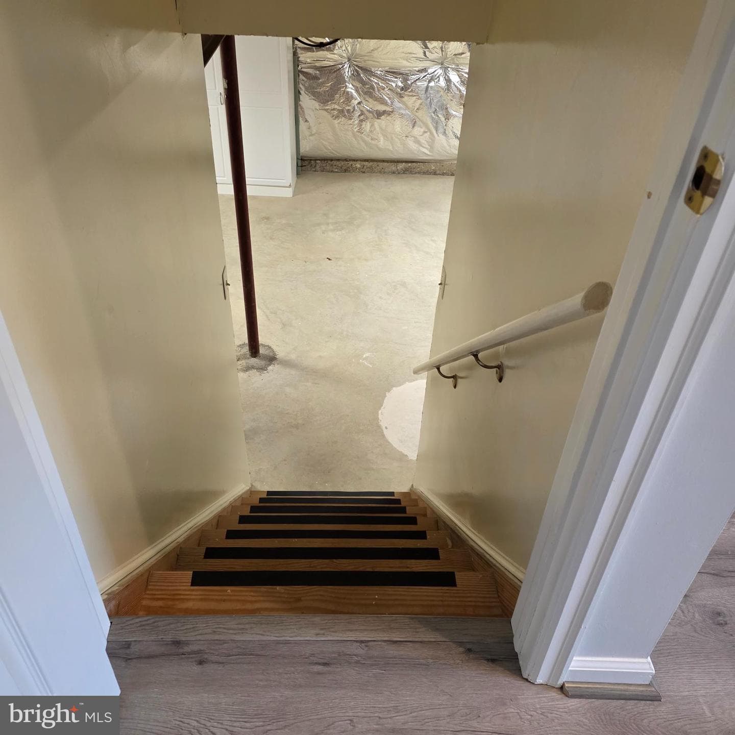 8 Treadway Court photo 50