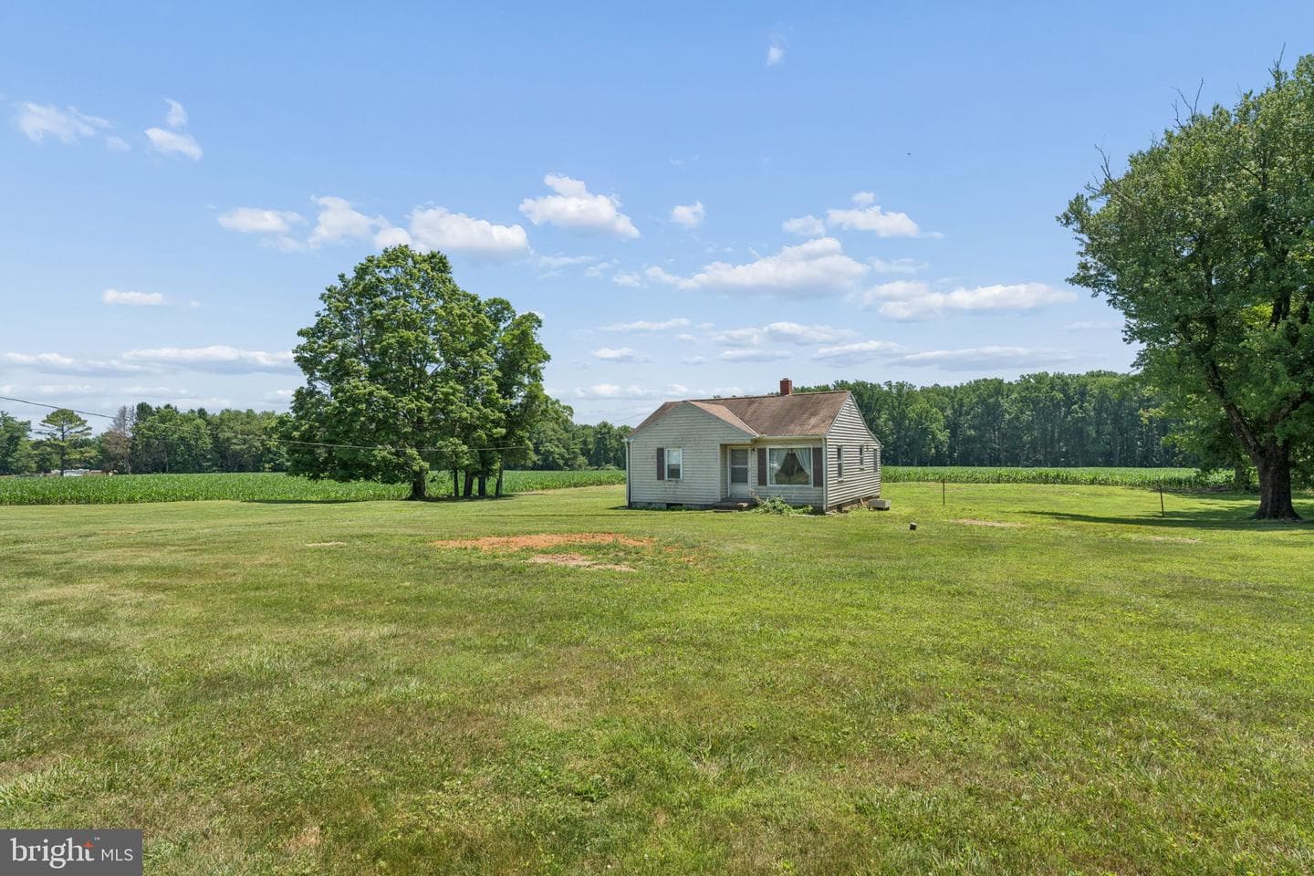 7219 New Cut Road photo 33