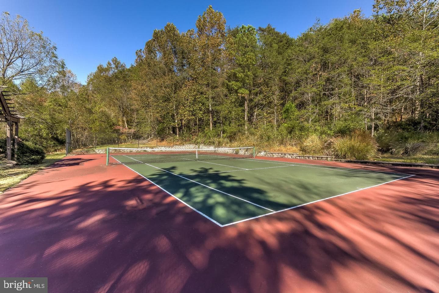 12500 Ivy Mill Road photo 41