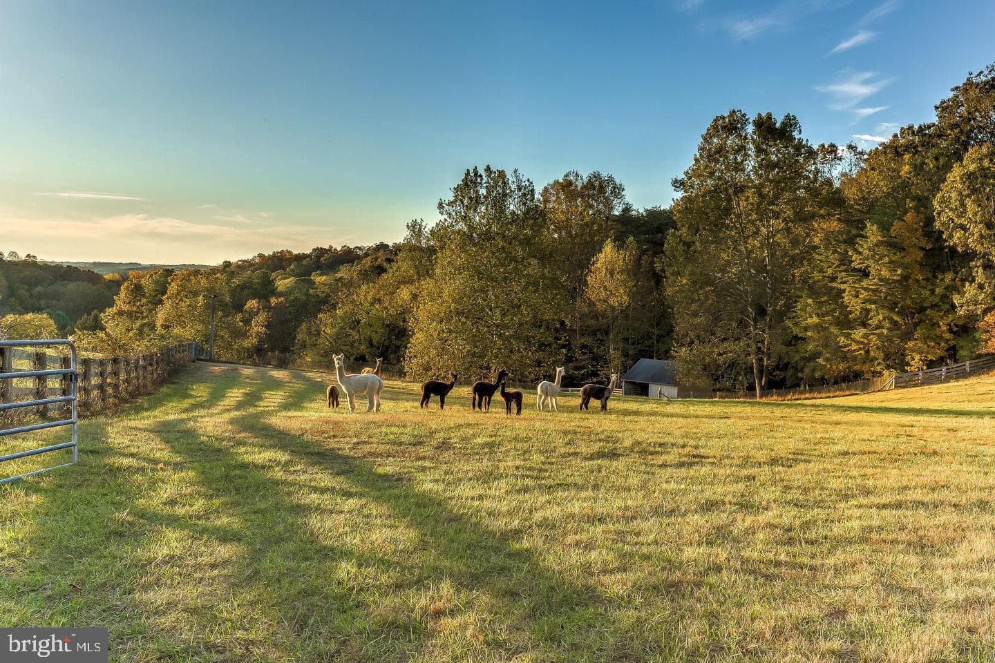 12500 Ivy Mill Road photo 49