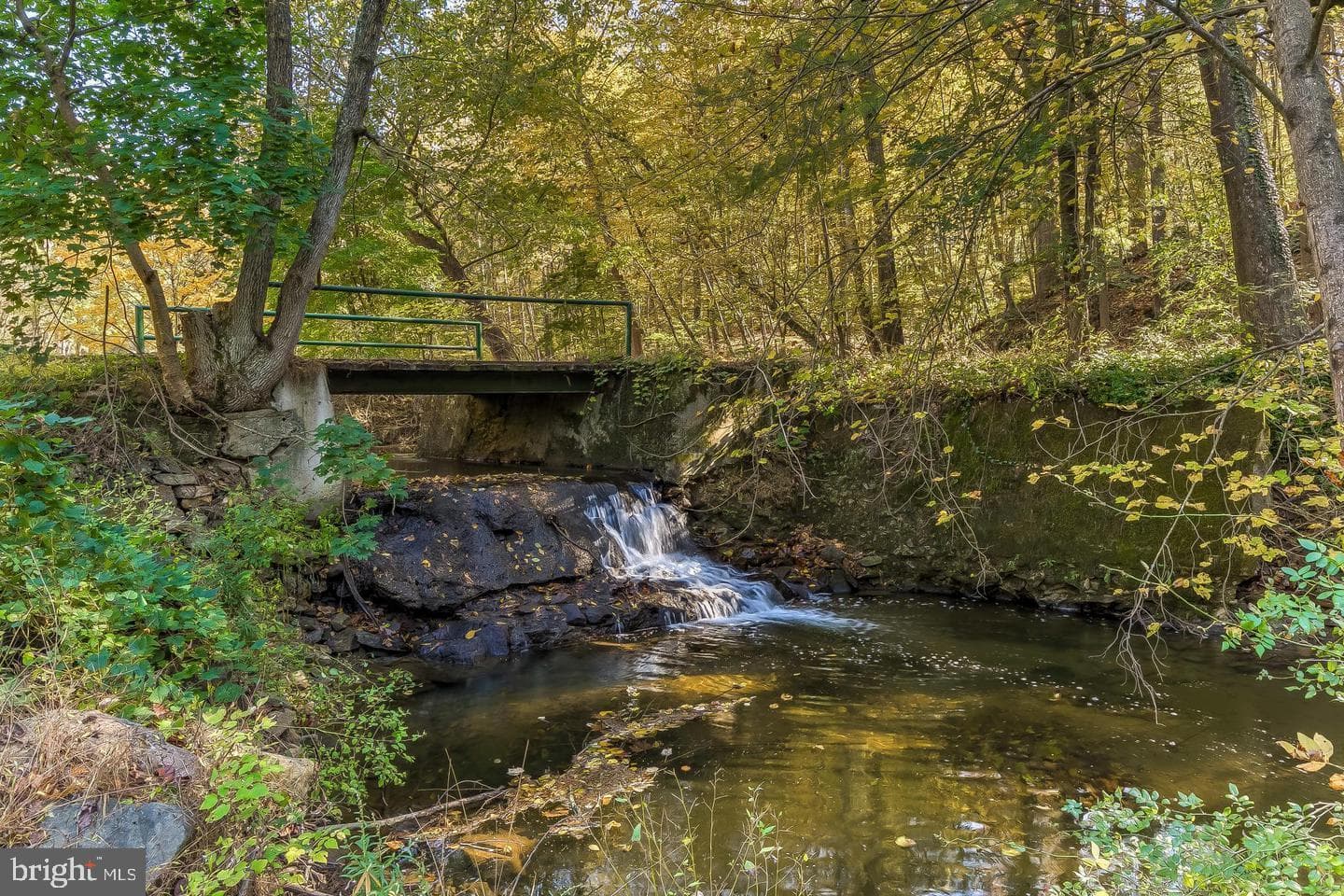 12500 Ivy Mill Road photo 6