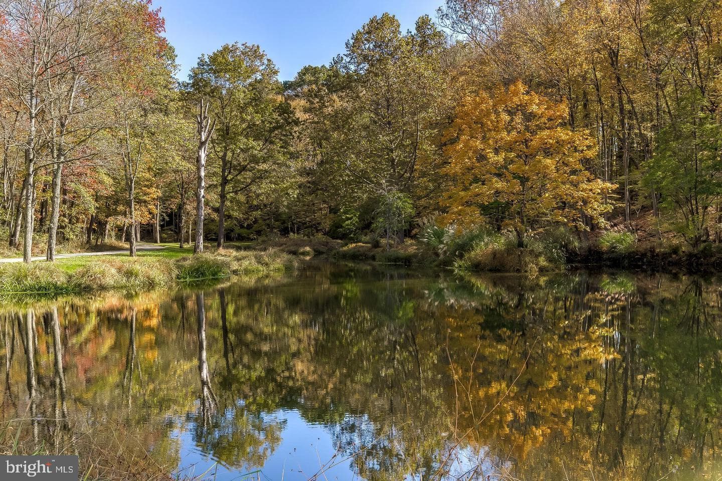 12500 Ivy Mill Road photo 7