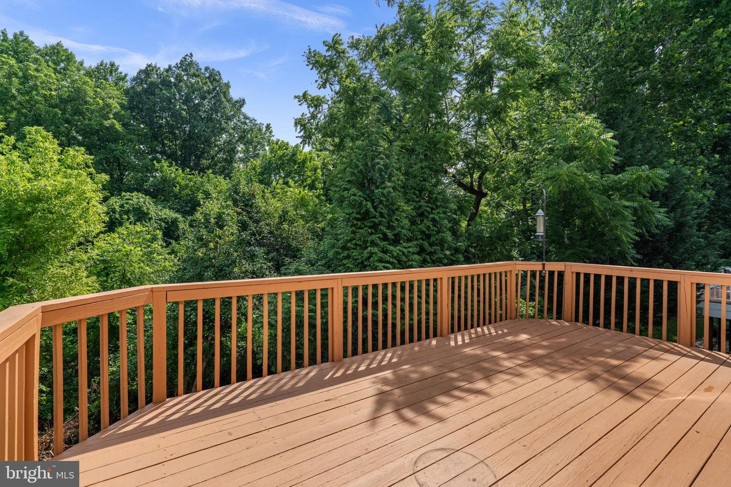3722 Green Oak Court photo 48