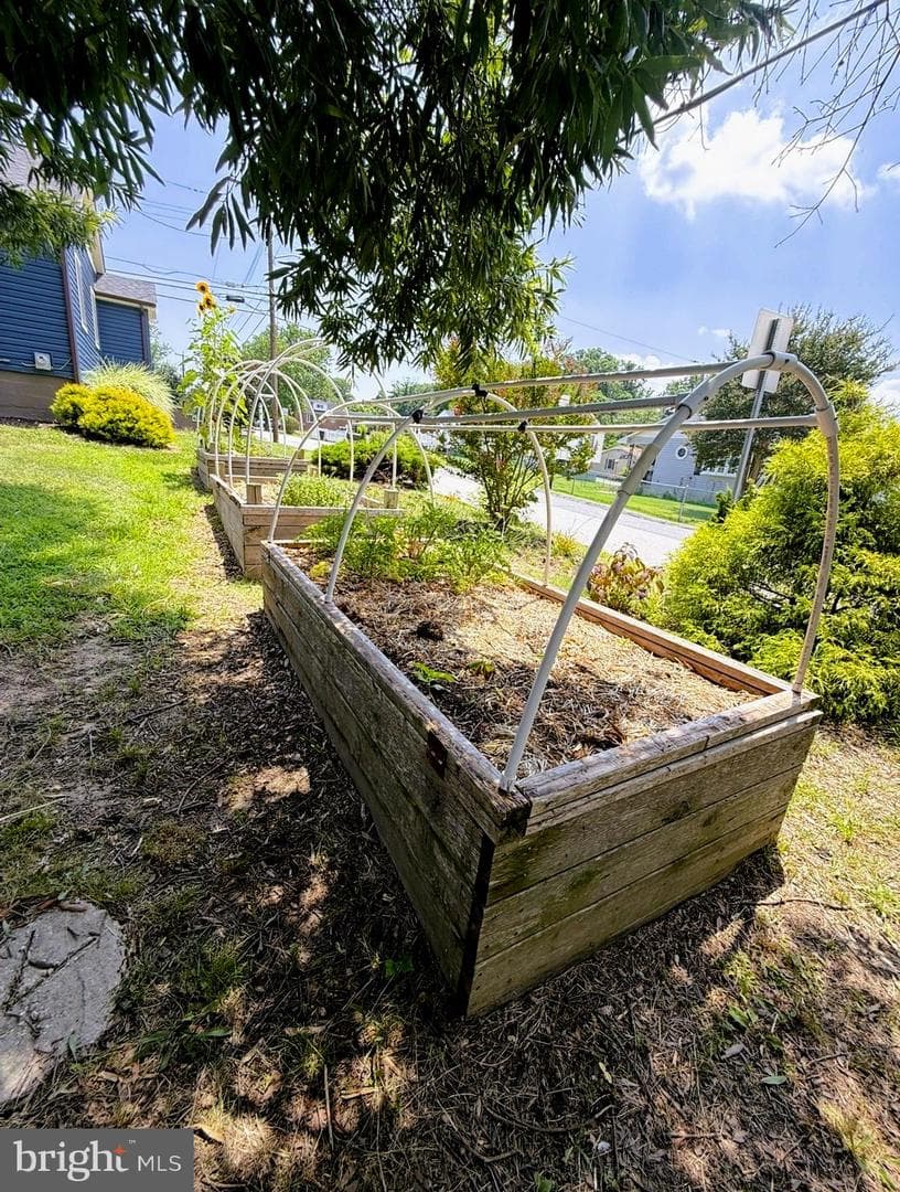1000 Rosedale photo 14