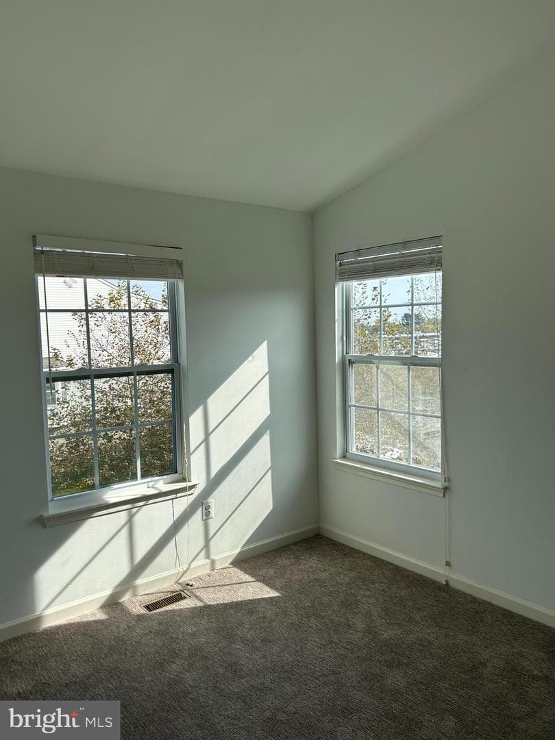 9401 Summer Squall photo 12