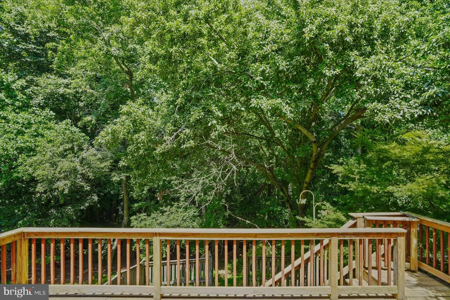 46 Abbey Bridge Court photo 40