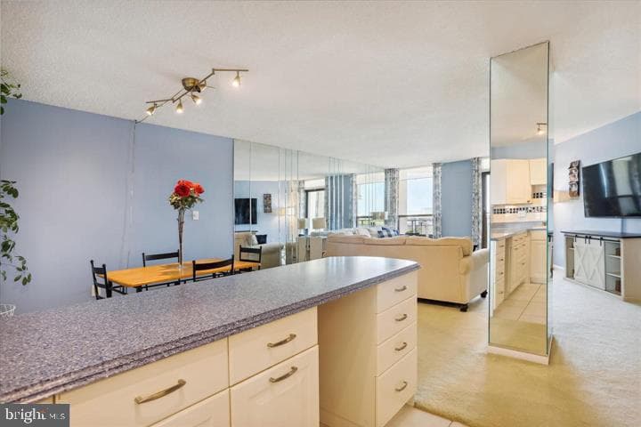 205 E Joppa Road #1601 photo 11