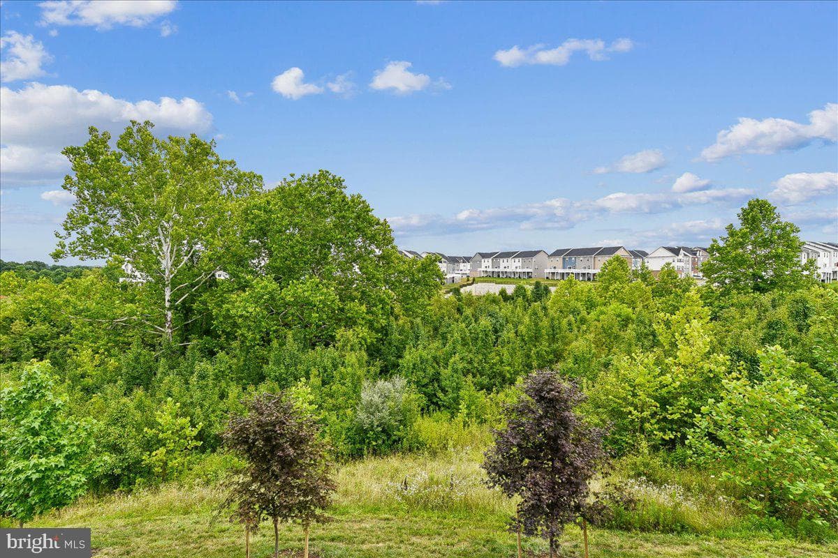 2209 Woodlands Road photo 58
