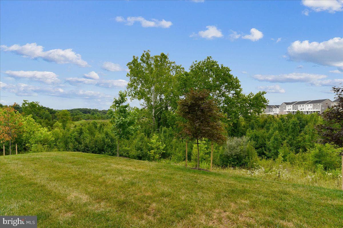 2209 Woodlands Road photo 63
