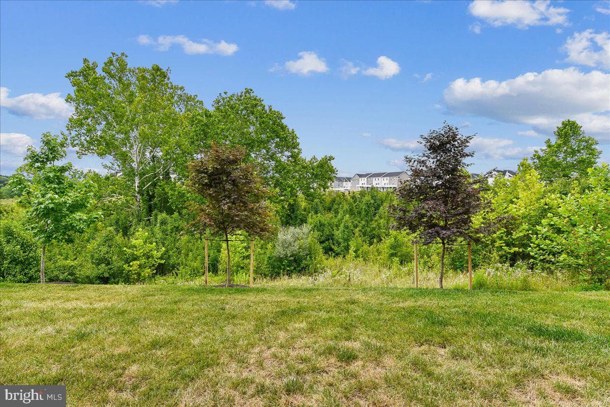 2209 Woodlands Road photo 64