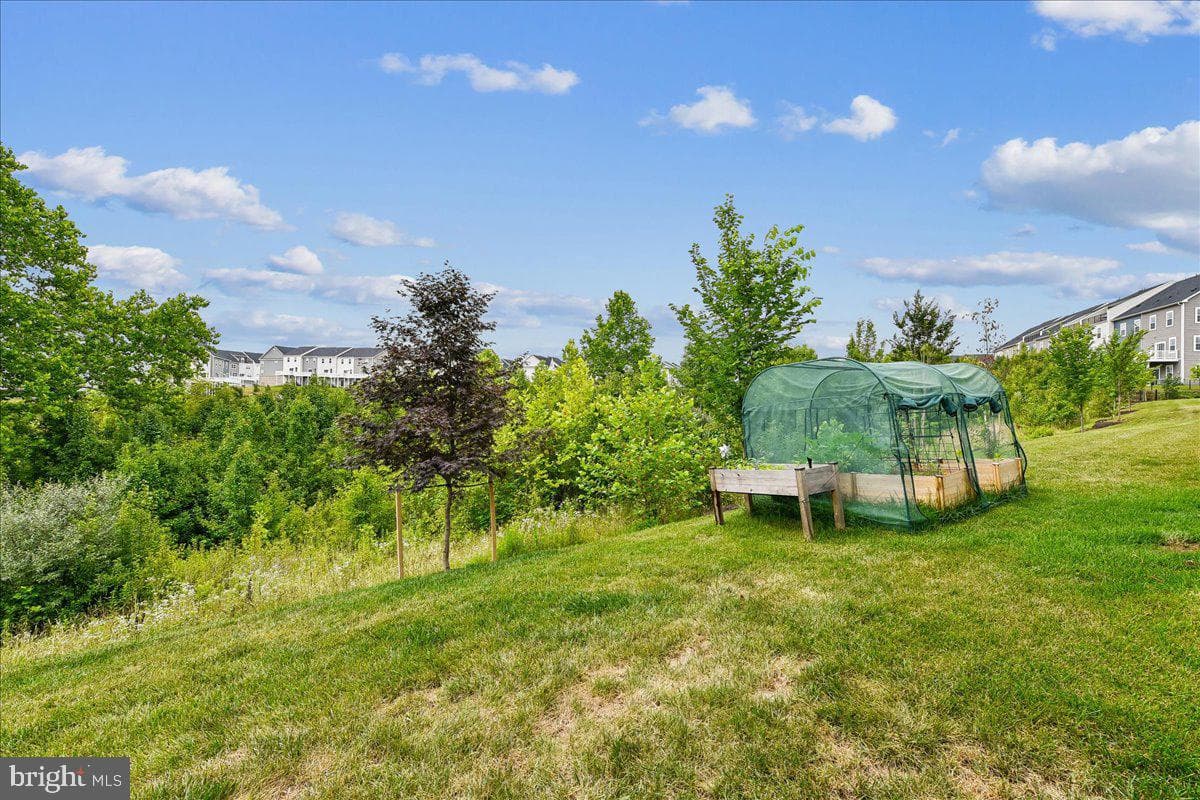 2209 Woodlands Road photo 66