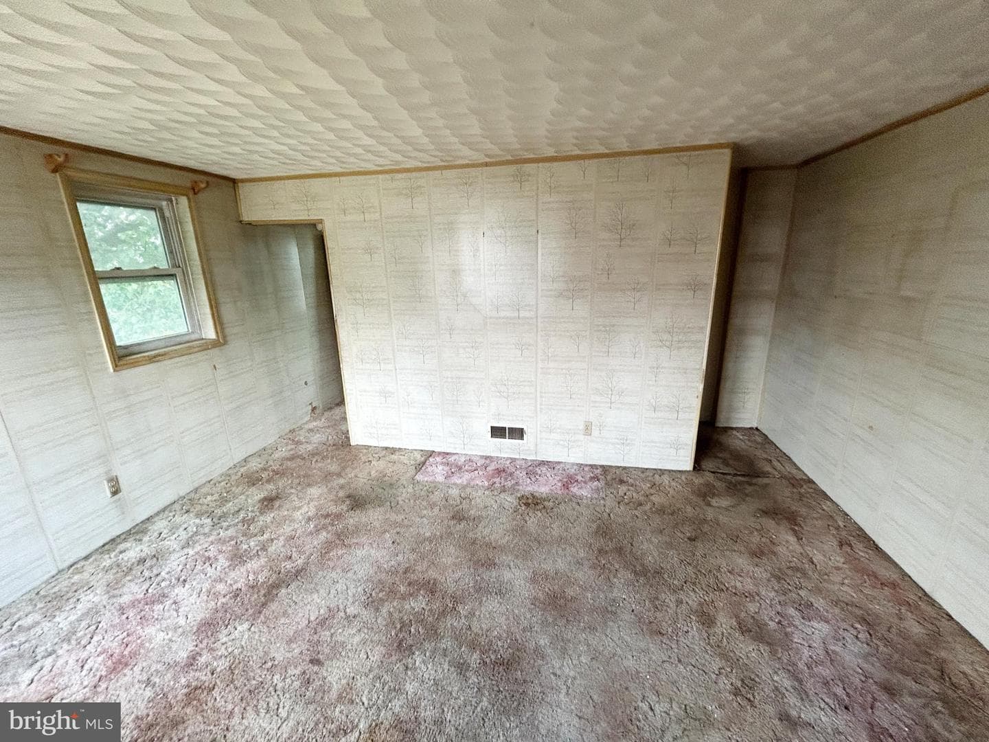 1813 Dunmere Road photo 9