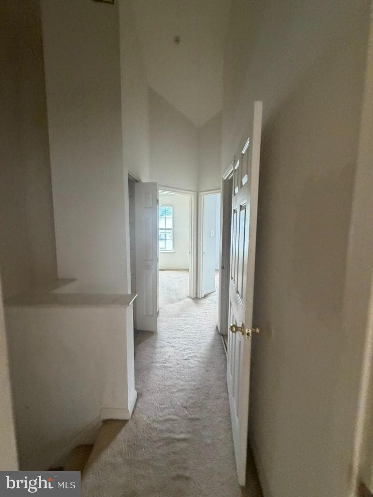 9540 Branchleigh Road photo 30