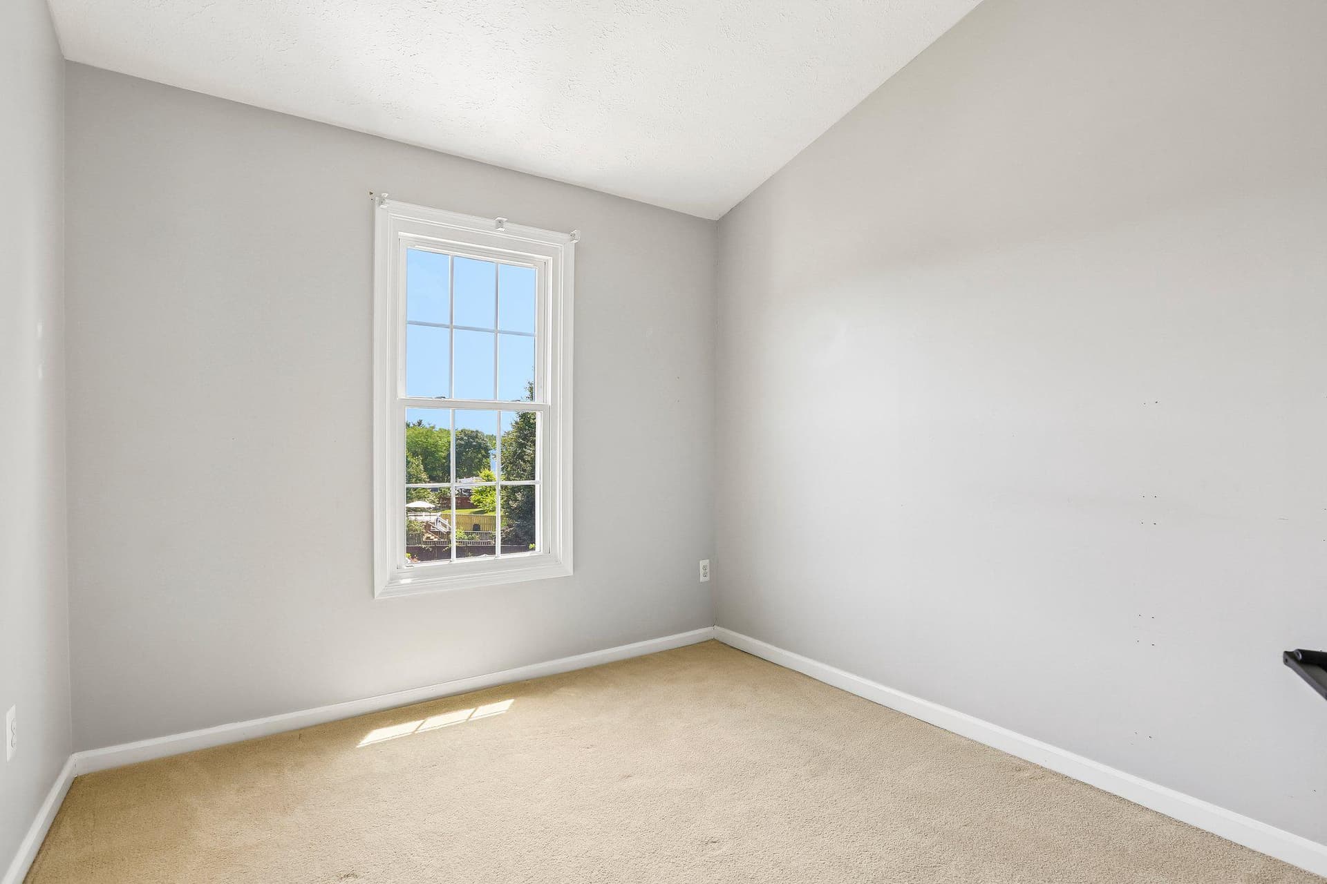 23 Ashmill Court photo 16