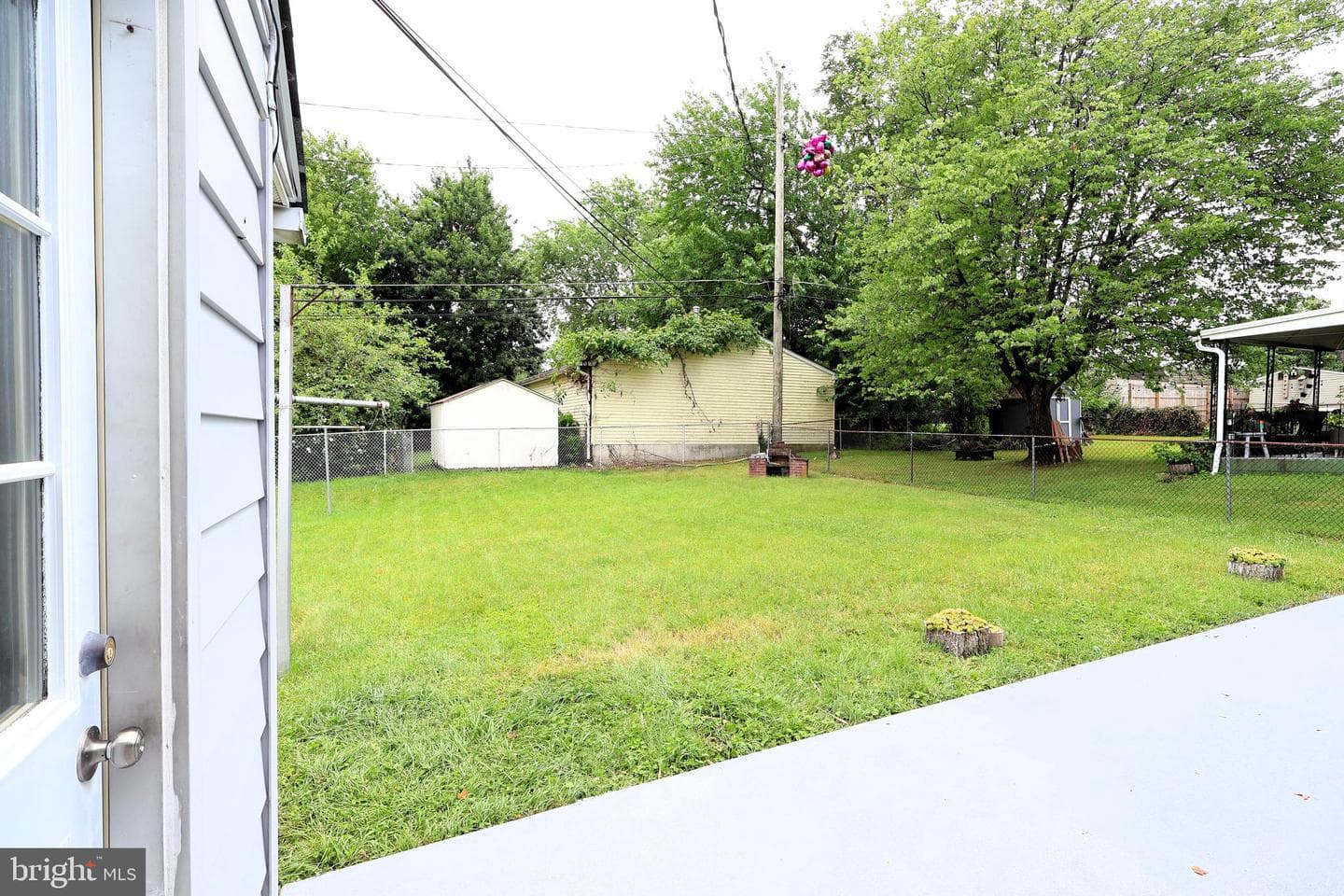 1812 Wilhelm Avenue photo 20