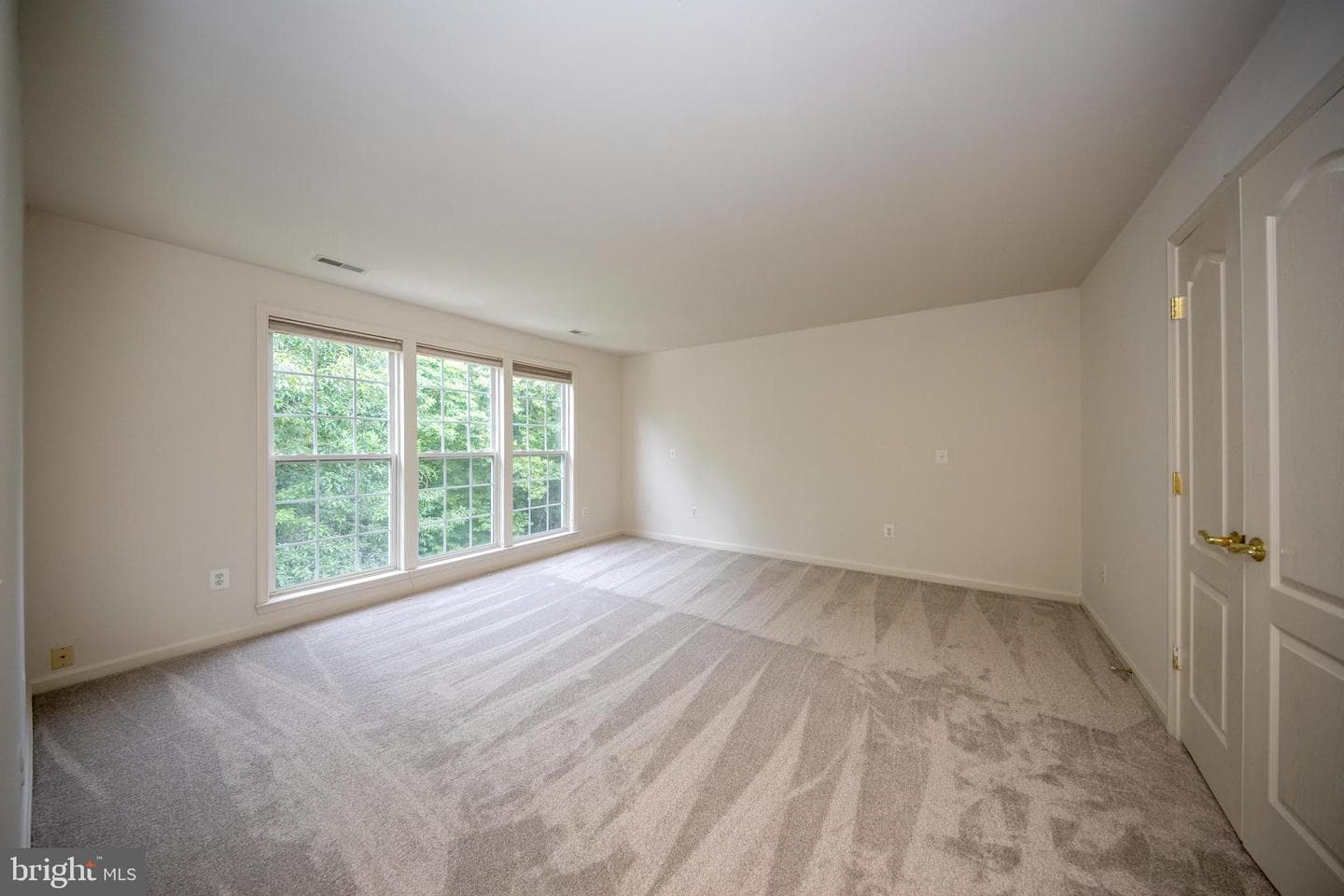 10504 Willow Vista Way photo 31