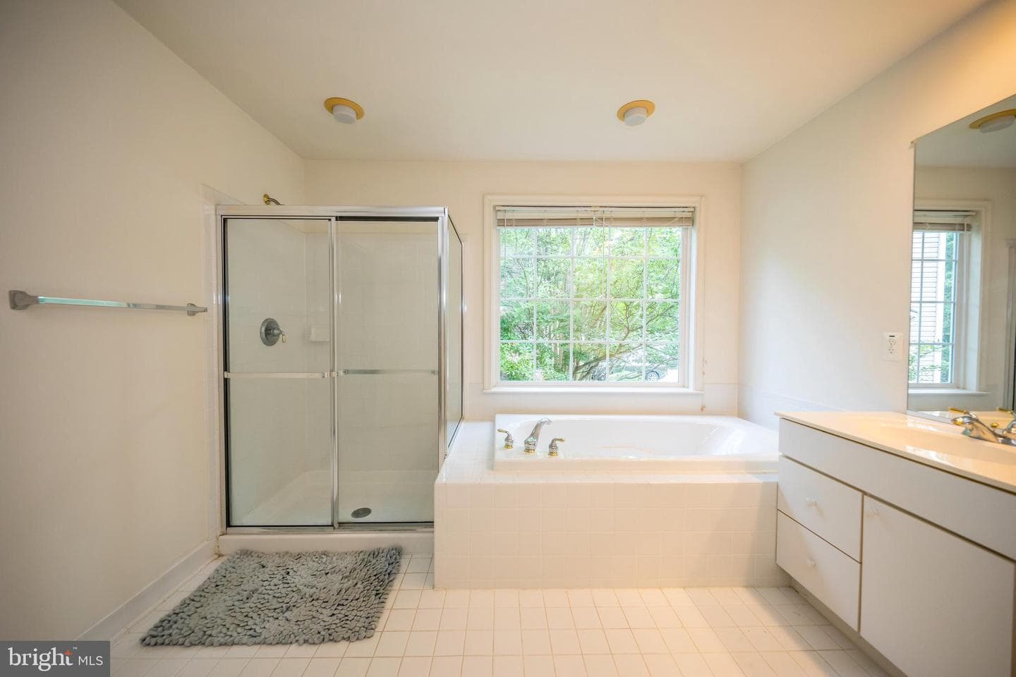 10504 Willow Vista Way photo 35