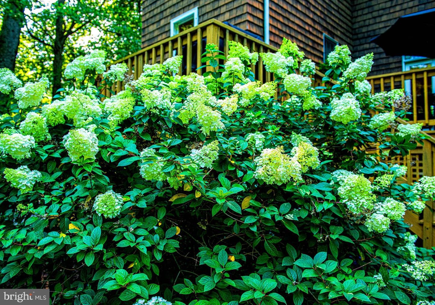 1014 Windsor Road photo 37