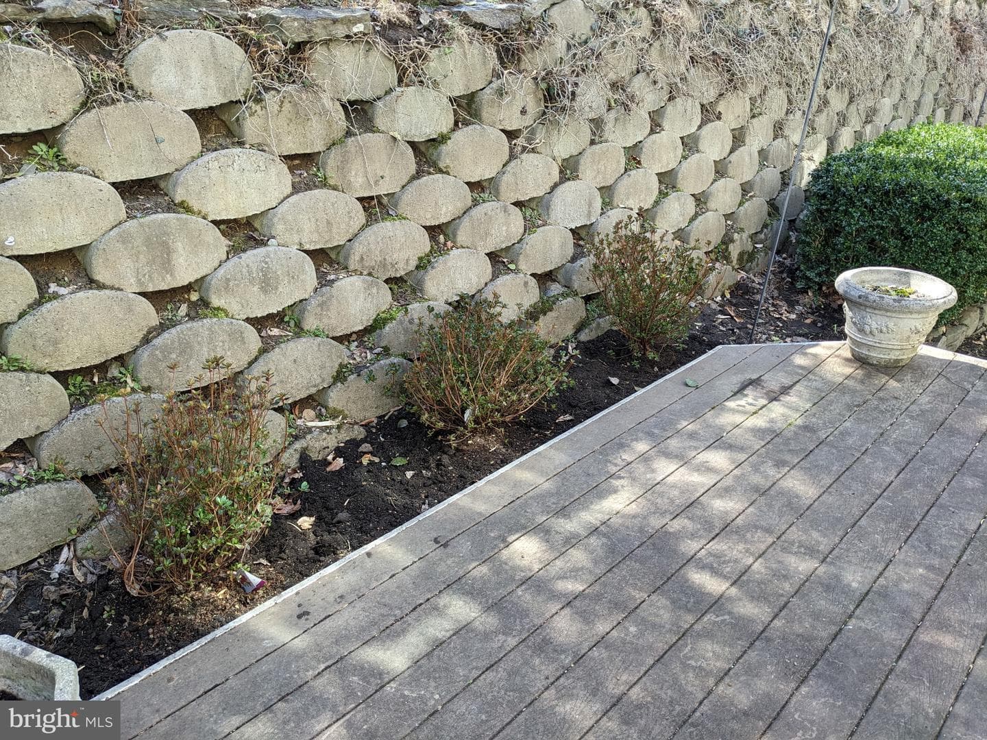 1011 Lillies Lane photo 41