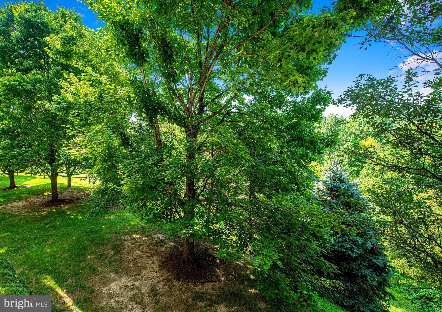 8809 Stone Ridge Circle #103 photo 14