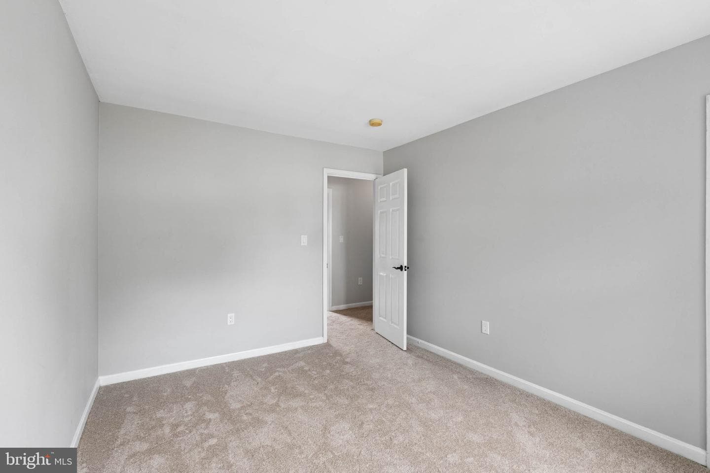 1429 Bellona Avenue photo 37