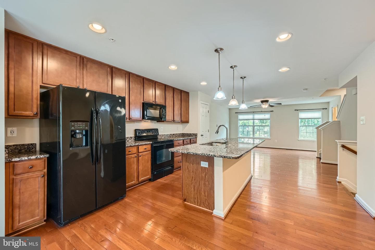 11606 Amaralles Drive photo 3