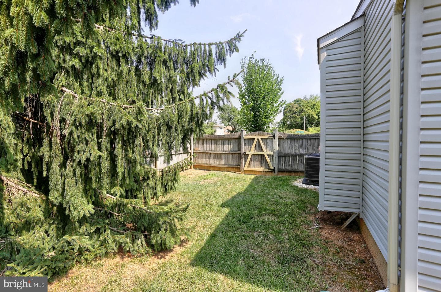 619 Cinnamon Tree Court photo 10