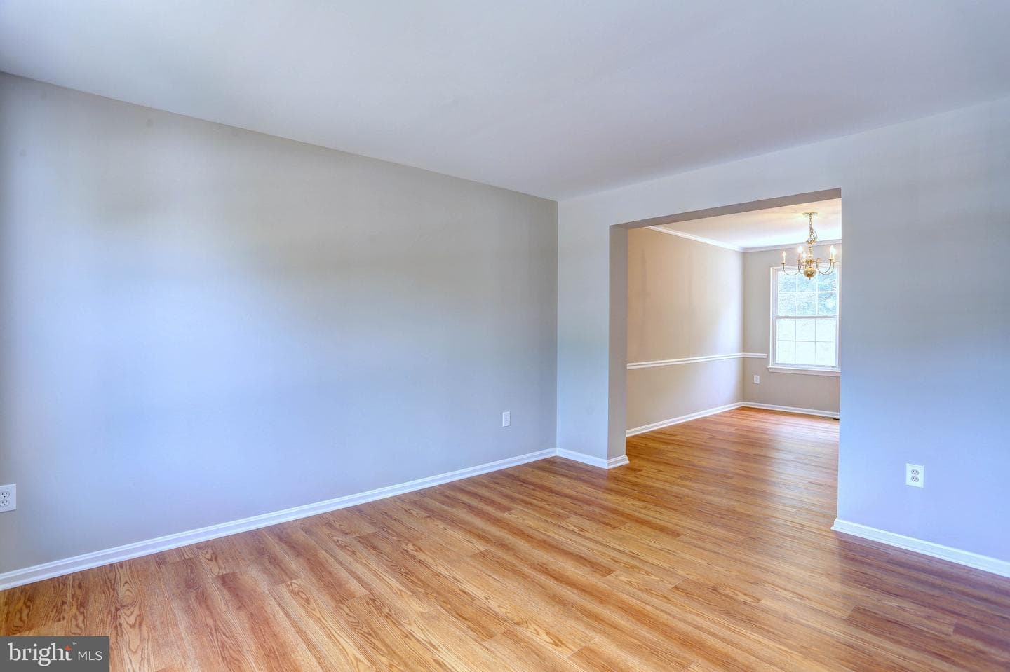 619 Cinnamon Tree Court photo 12