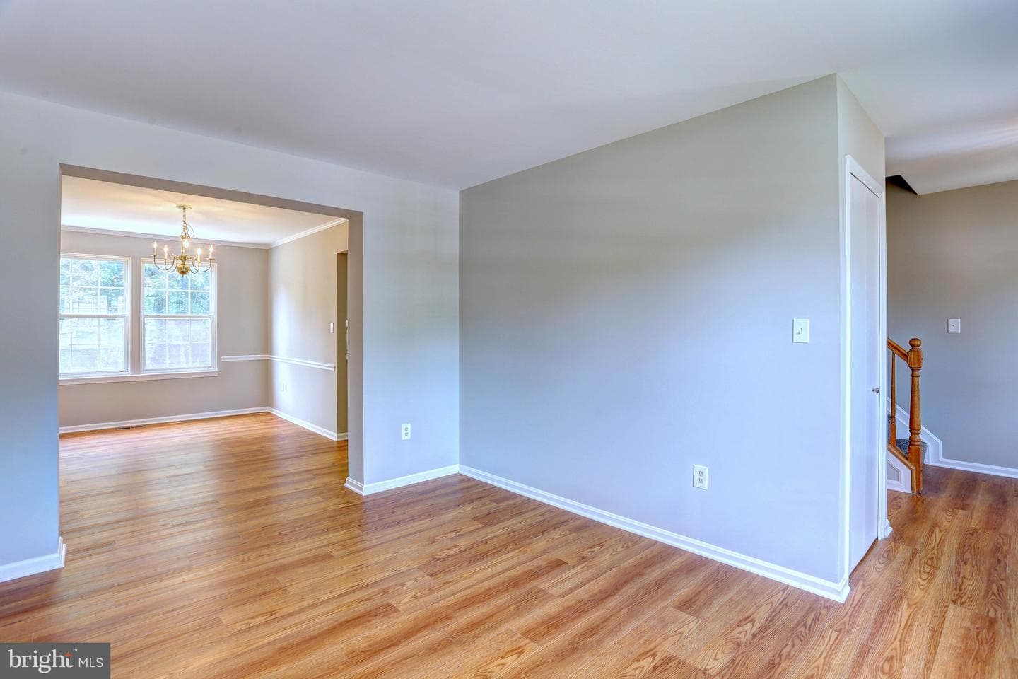 619 Cinnamon Tree Court photo 13