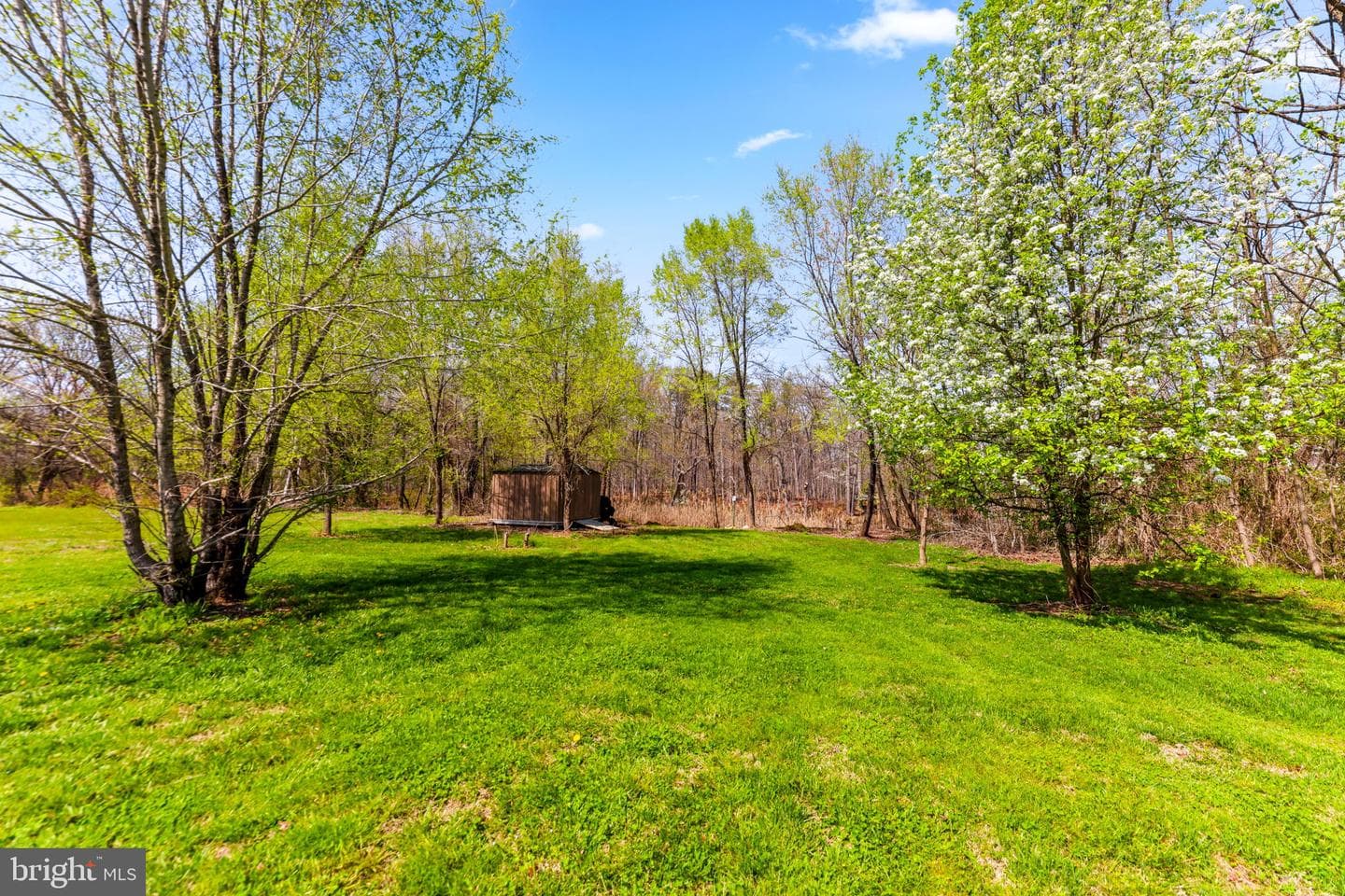 1439 Goodwood Avenue photo 46