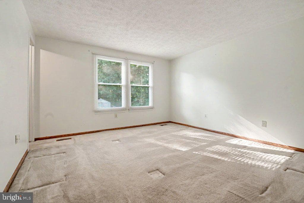 8805 Golden Tree Lane photo 16