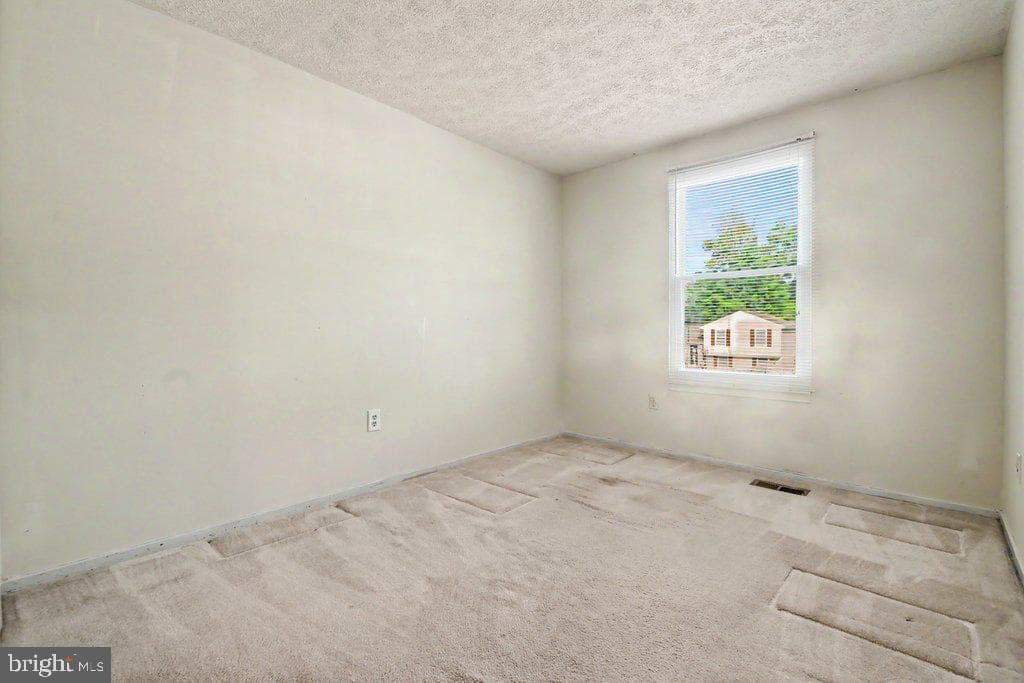 8805 Golden Tree Lane photo 20