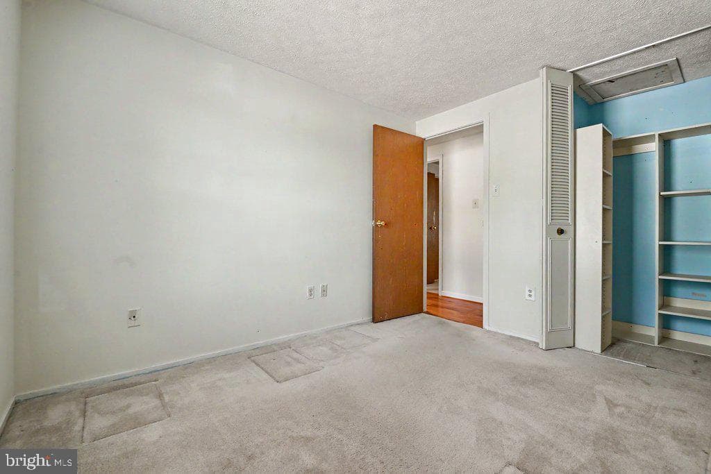 8805 Golden Tree Lane photo 23
