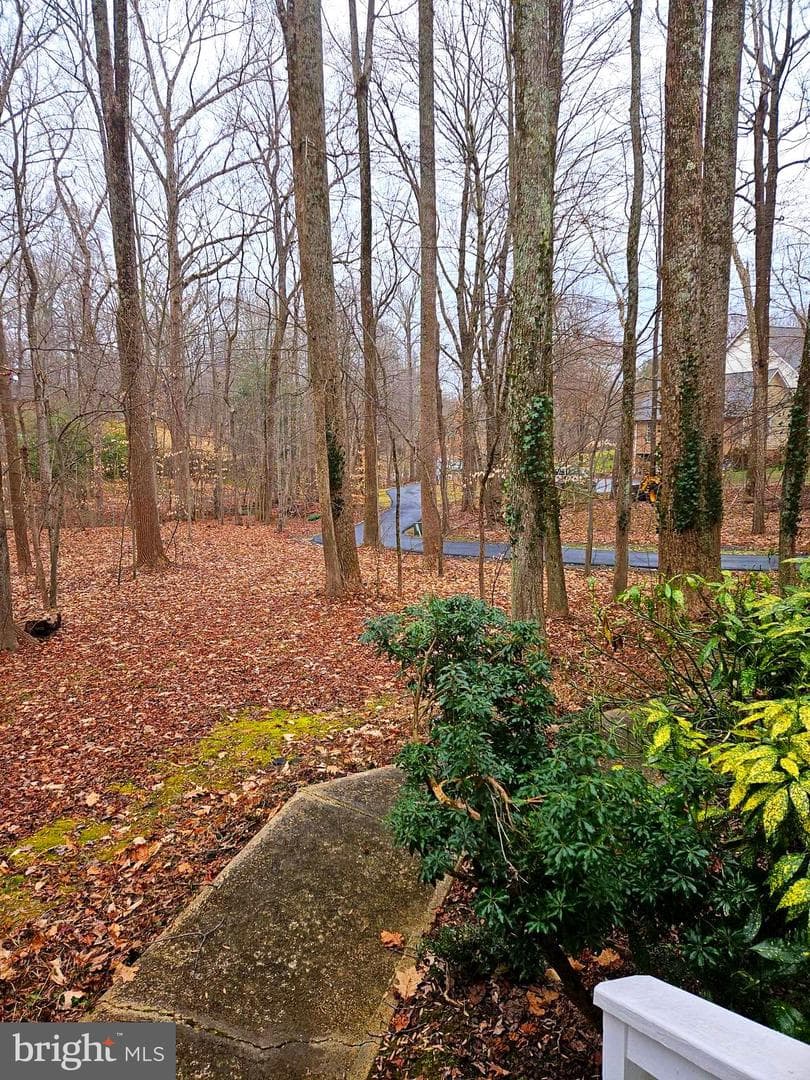 8940 Sherbrook Court photo 40