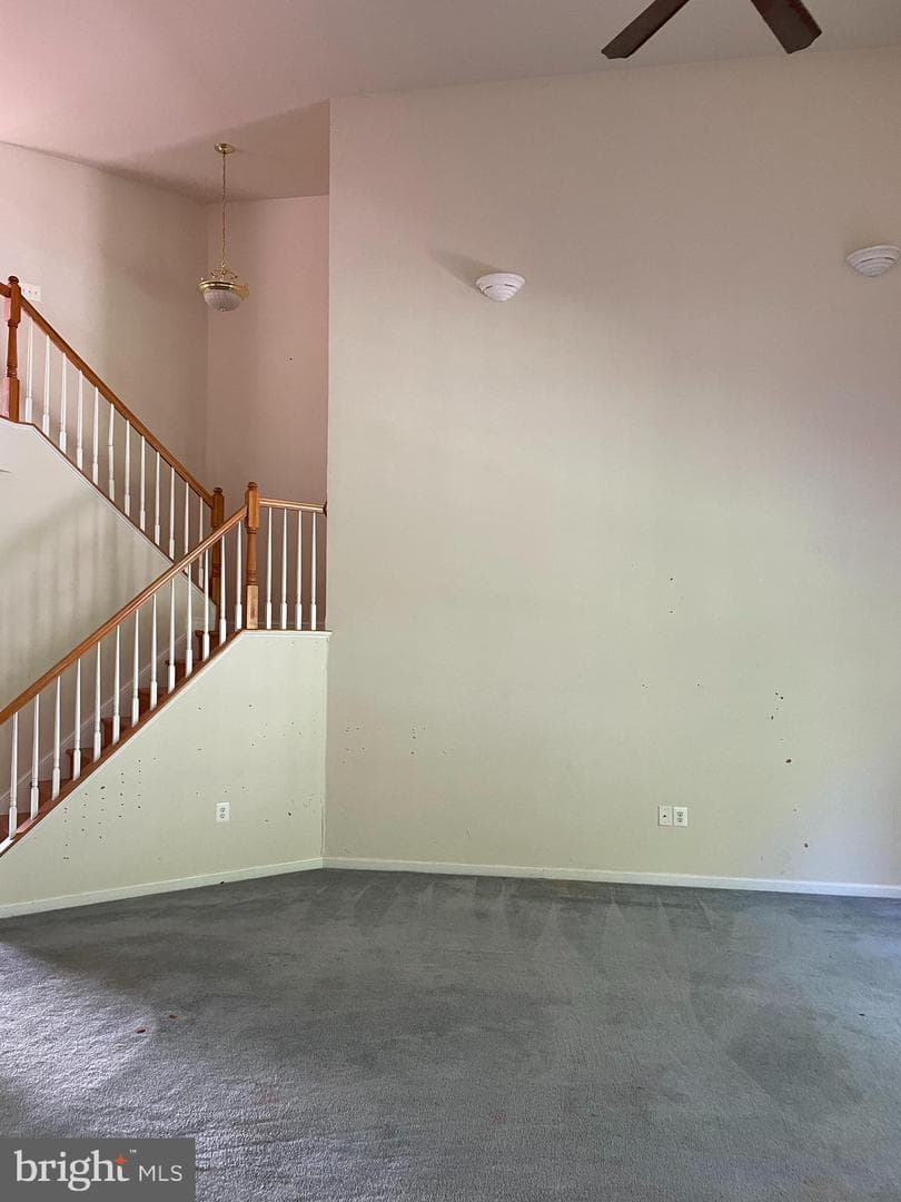 410 Marigolds Way photo 11
