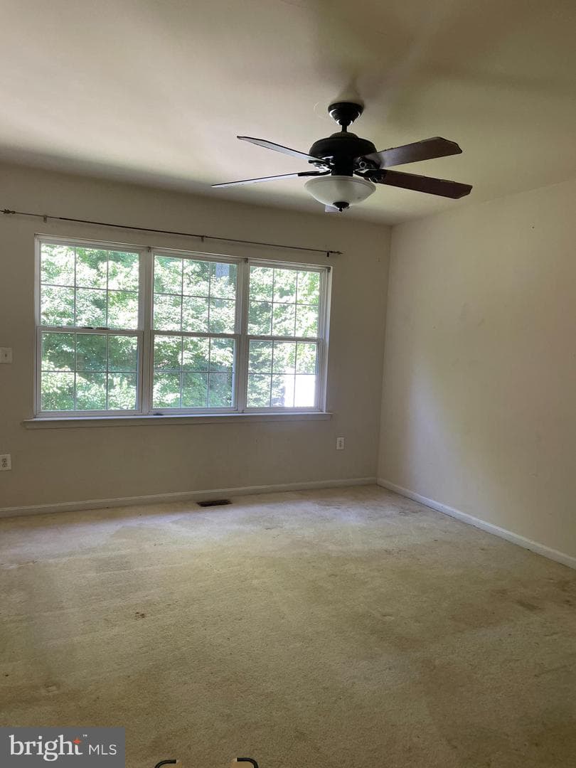410 Marigolds Way photo 12