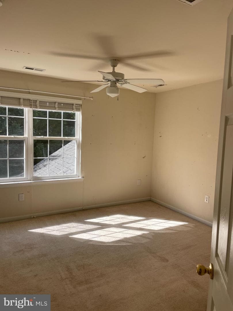 410 Marigolds Way photo 16
