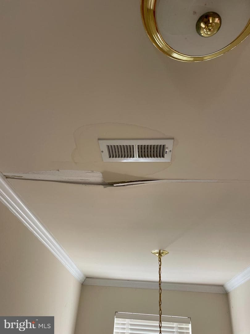 410 Marigolds Way photo 18