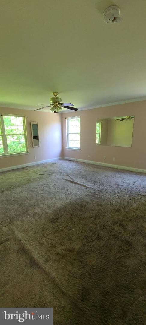 6012 Clairemont Drive W photo 7