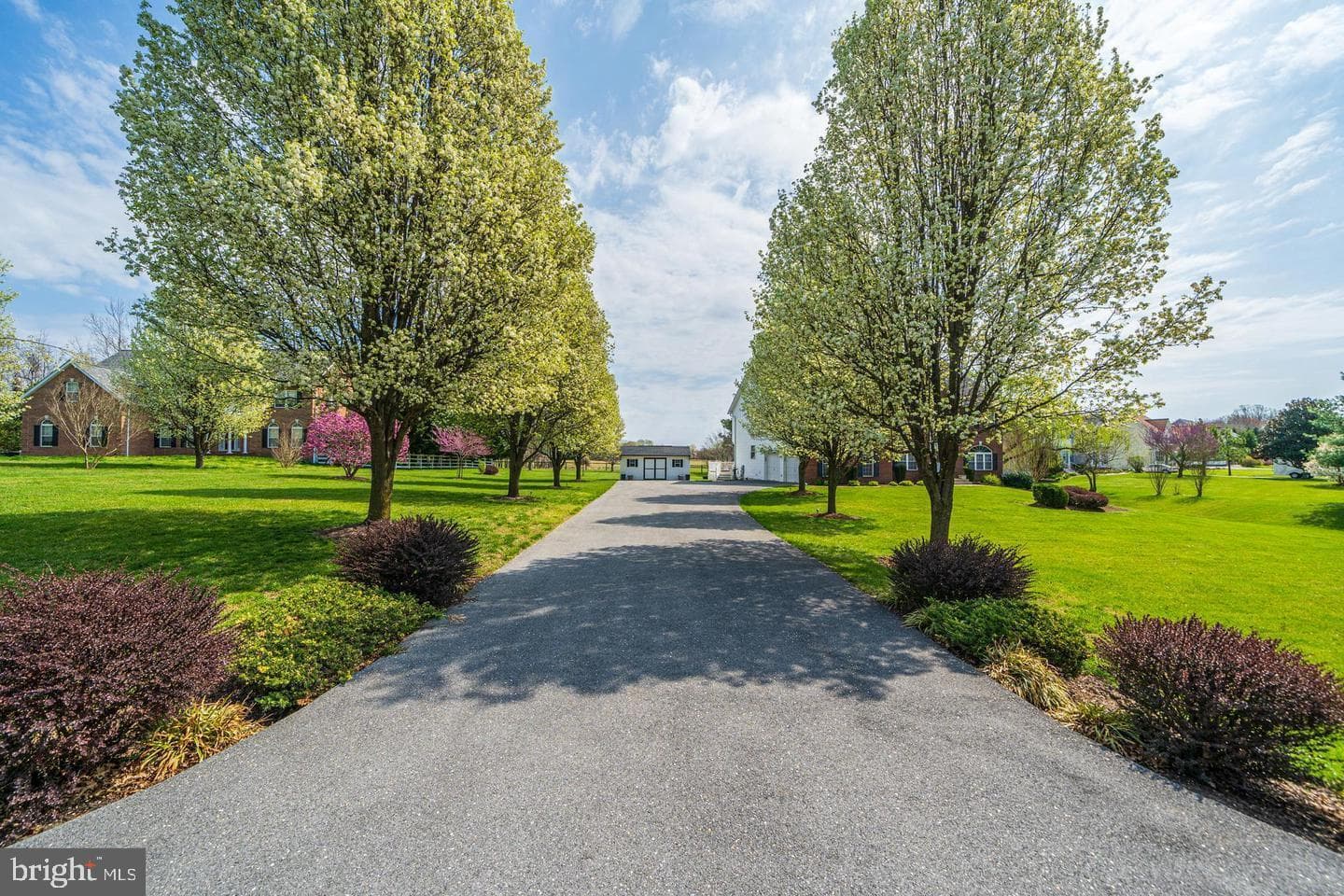 9165 Megatha Lane photo 4