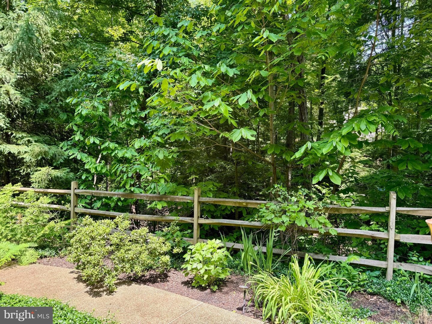 197 Walnut Creek Road photo 55
