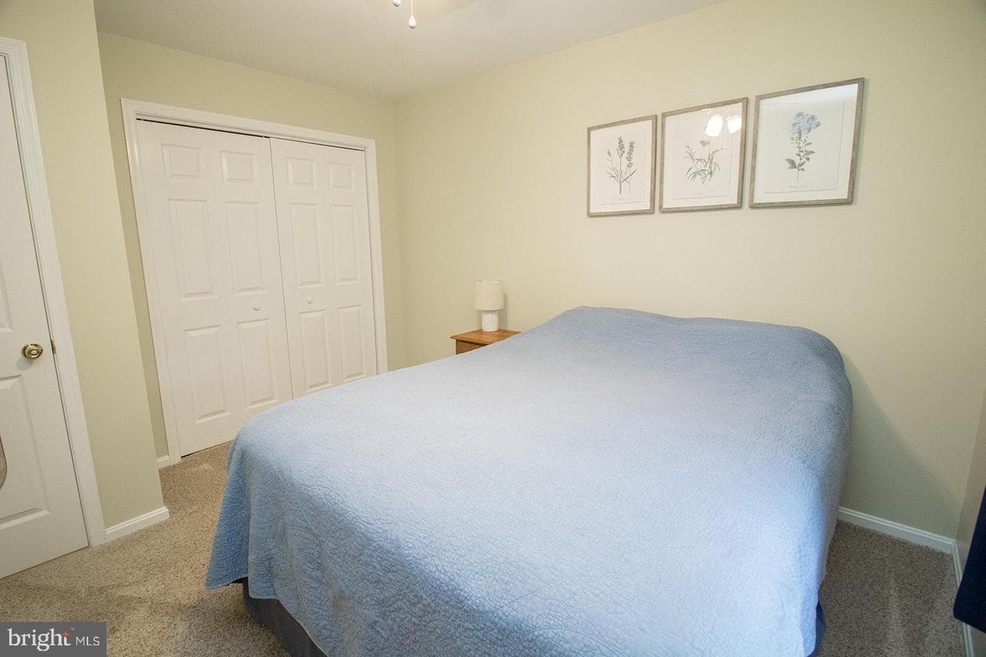 11620 Big Sandy Run Road photo 14