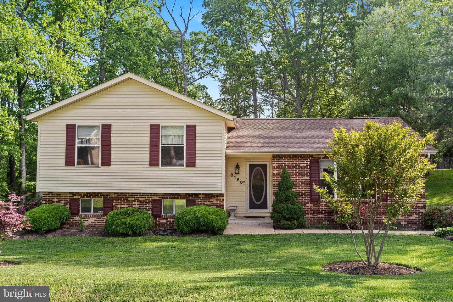 8186 Ebbtide Lane photo 2