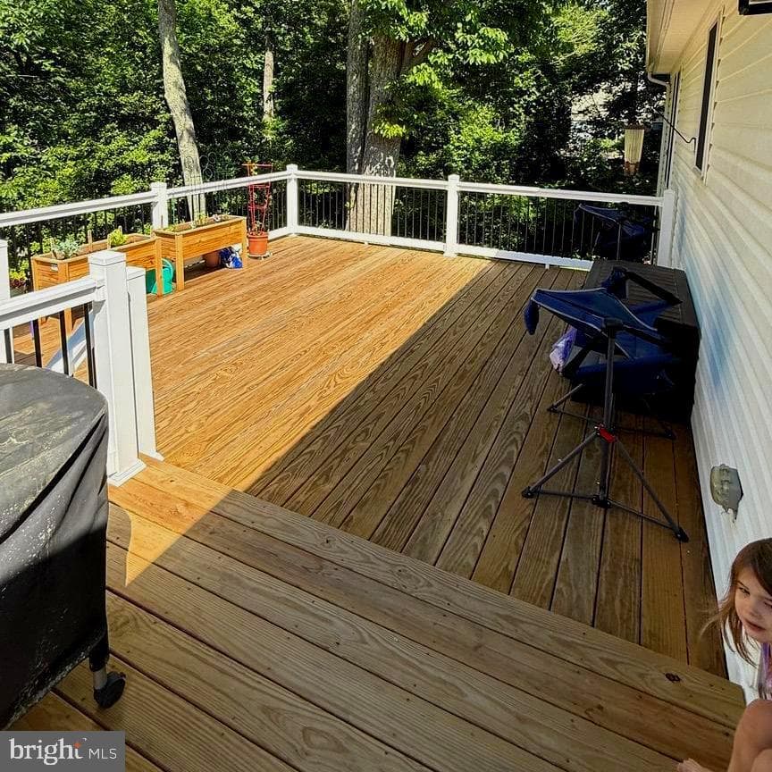 5031 Harvard photo 10